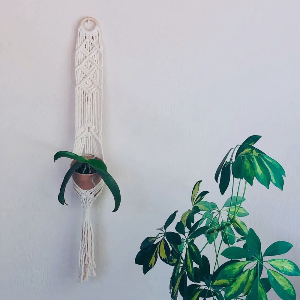 Macrame Plant Hanger DIY Kit Bodhi Wall Planter Intermediate Skill Level